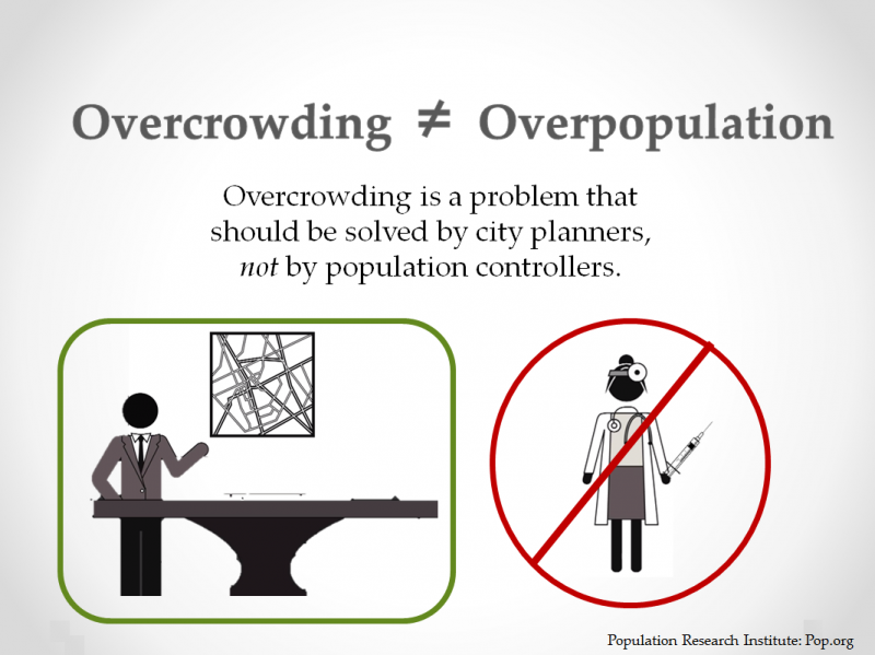 7 Causes, Effects, and Solutions to Overpopulation